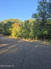 0 Mccluer Road, Jackson, MS 39212