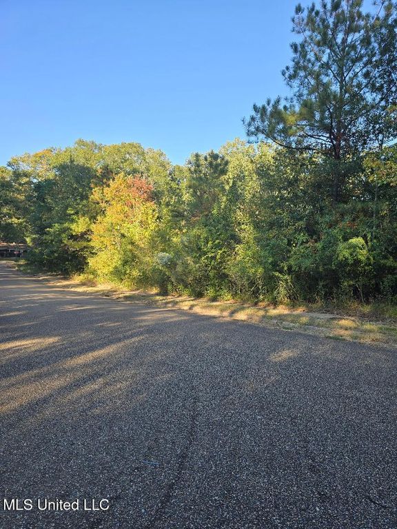 0 Mccluer Road, Jackson, MS 39212