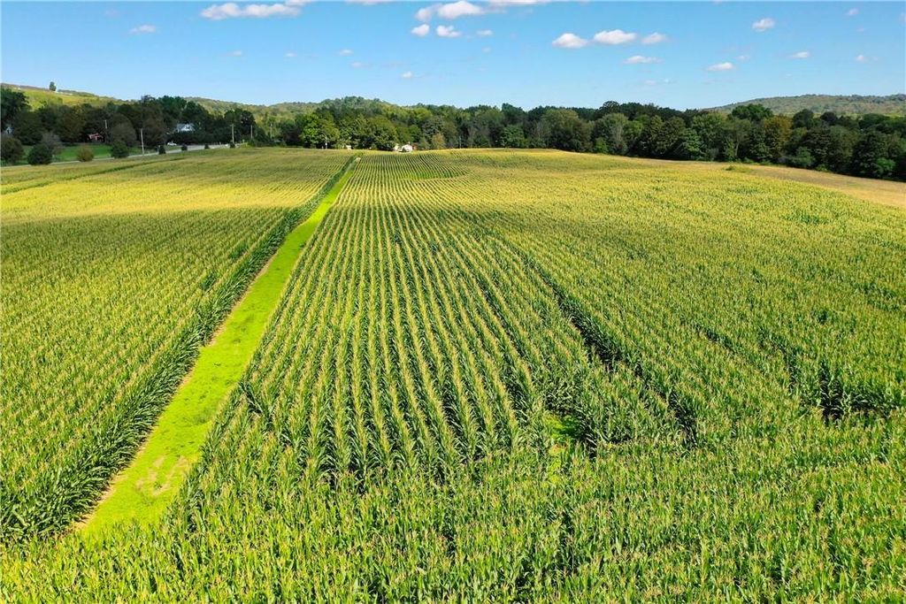 2180 Salt Point Turnpike, Clinton Corners Elyse Harney Real Estate