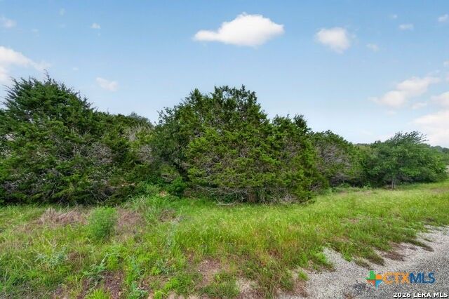 189 Morning View Drive, New Braunfels, TX 78132