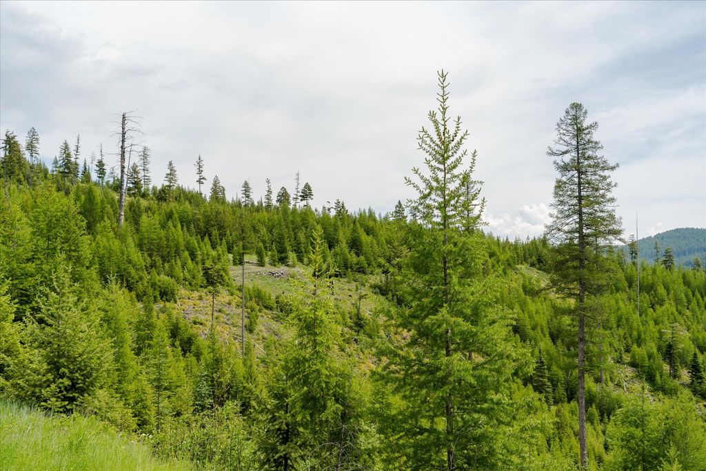 Nhn Fish Creek Road, Kalispell, MT 59901 photo 11