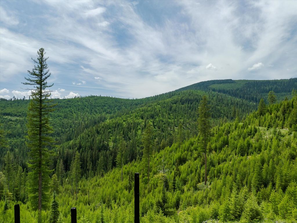 Nhn Fish Creek Road, Kalispell, MT 59901 photo 12