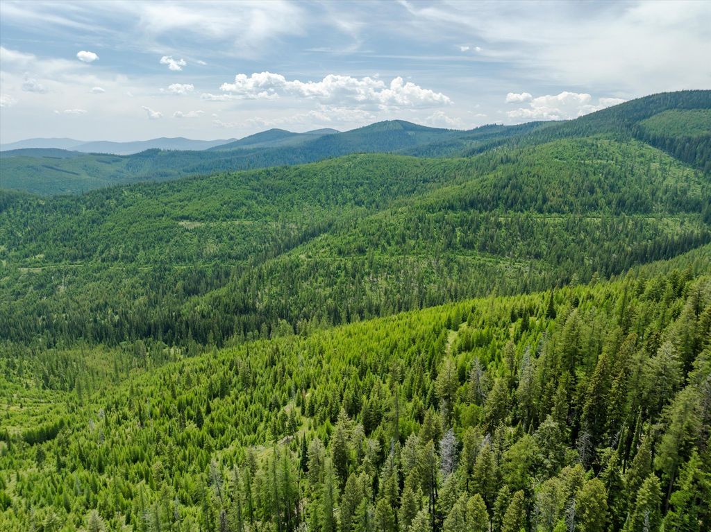 Nhn Fish Creek Road, Kalispell, MT 59901 photo 15