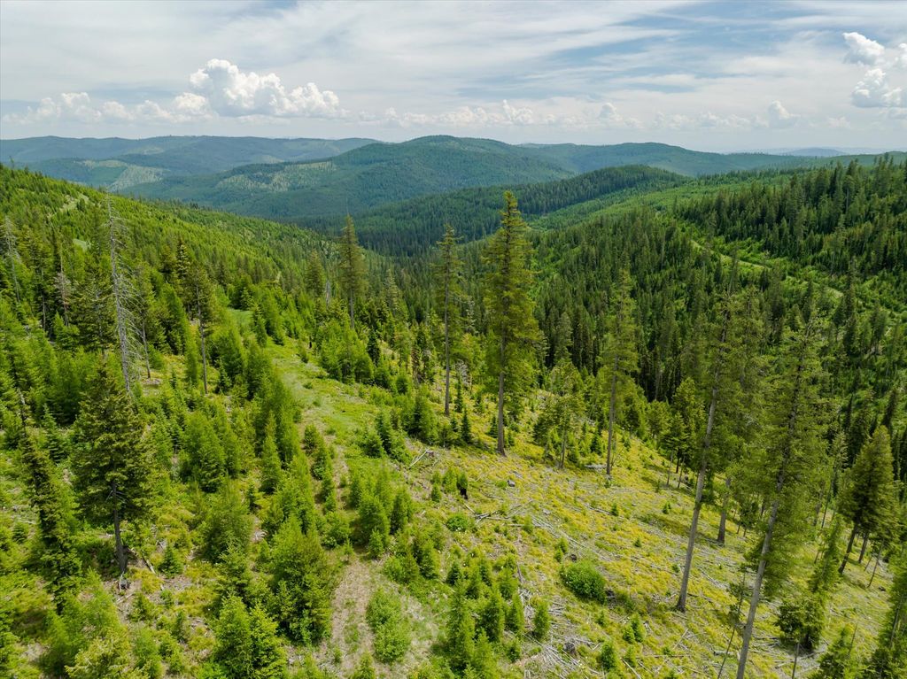 Nhn Fish Creek Road, Kalispell, MT 59901 photo 17