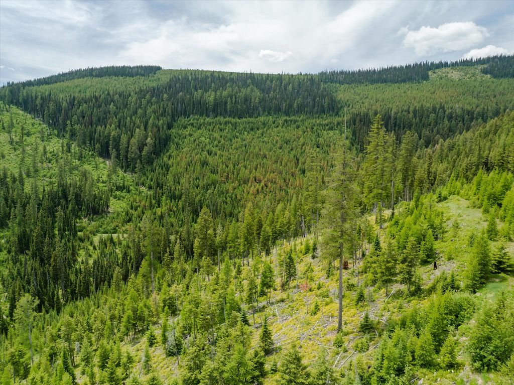 Nhn Fish Creek Road, Kalispell, MT 59901 photo 18