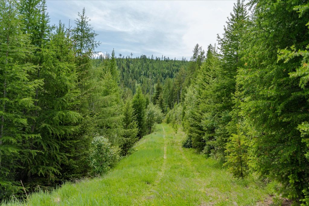 Nhn Fish Creek Road, Kalispell, MT 59901 photo 2