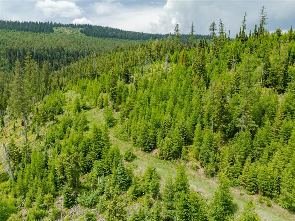 Nhn Fish Creek Road, Kalispell, MT 59901 photo 20