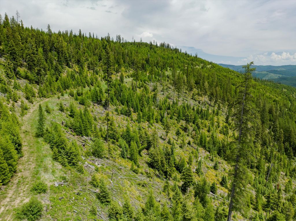 Nhn Fish Creek Road, Kalispell, MT 59901 photo 26