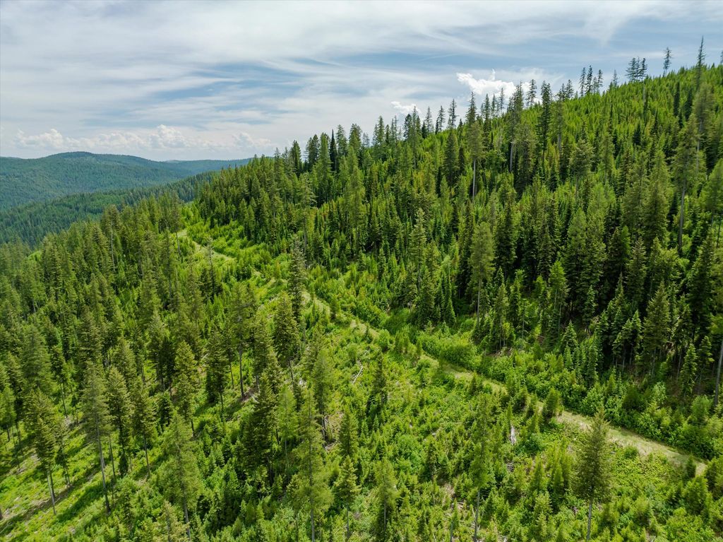 Nhn Fish Creek Road, Kalispell, MT 59901 photo 27