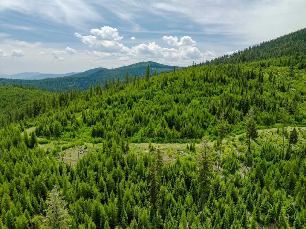 Nhn Fish Creek Road, Kalispell, MT 59901 photo 28