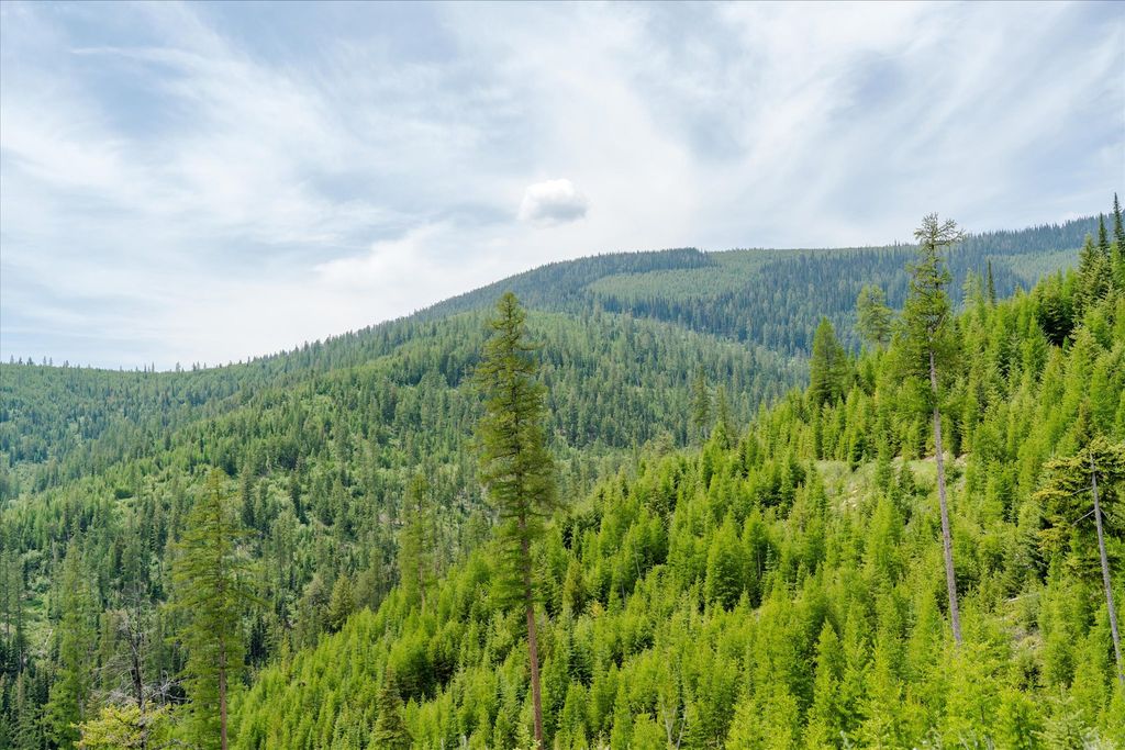 Nhn Fish Creek Road, Kalispell, MT 59901 photo 3