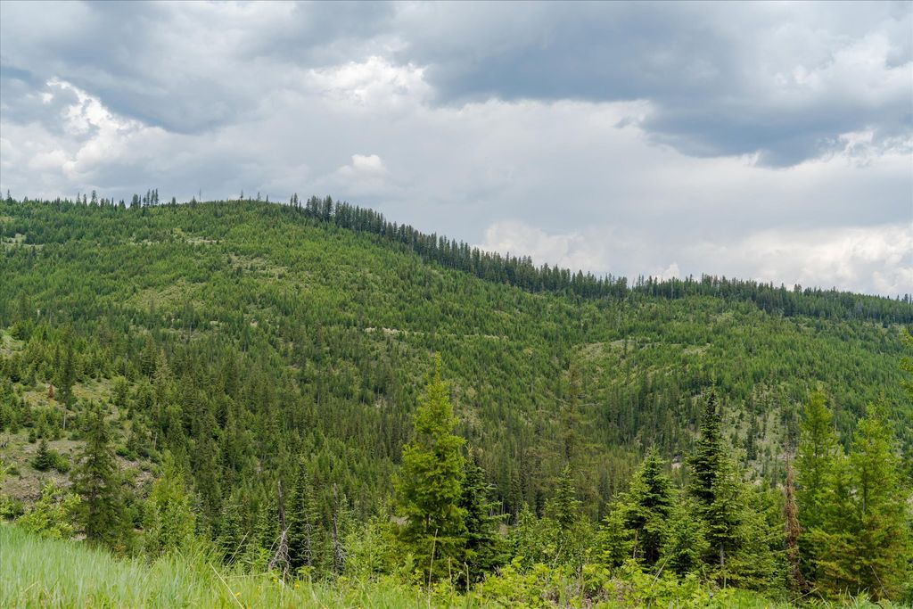 Nhn Fish Creek Road, Kalispell, MT 59901 photo 4