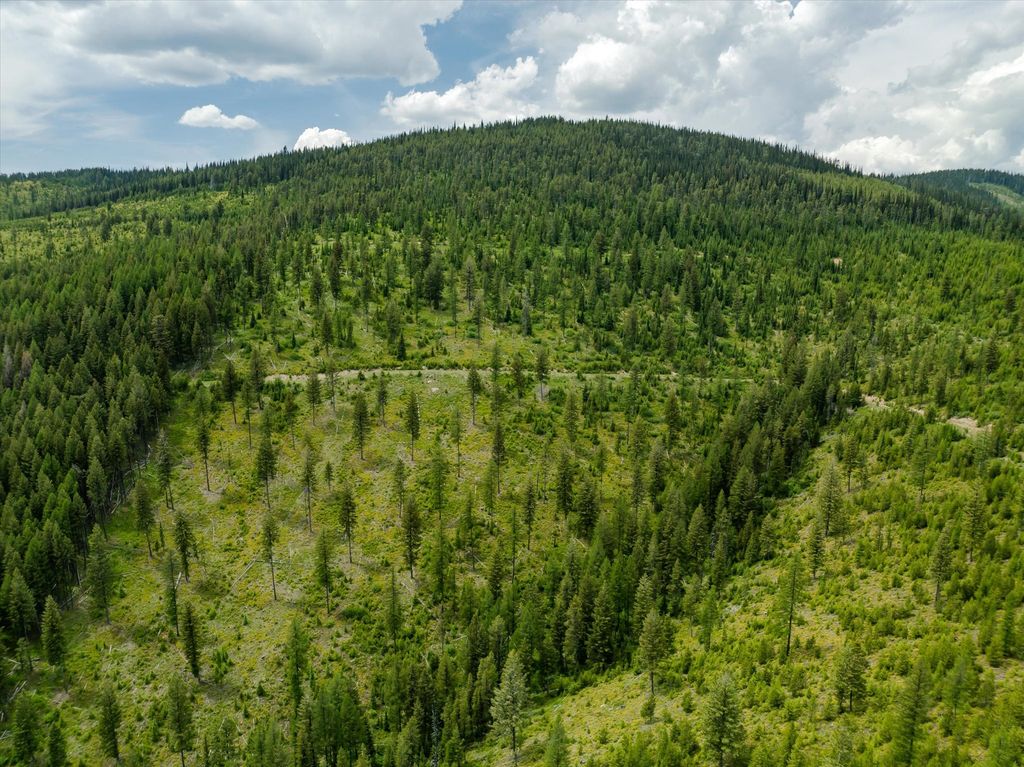 Nhn Fish Creek Road, Kalispell, MT 59901 photo 43