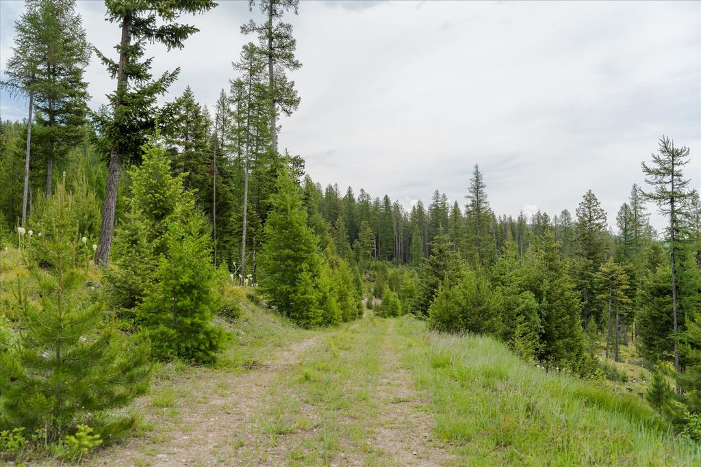 Nhn Fish Creek Road, Kalispell, MT 59901 photo 49