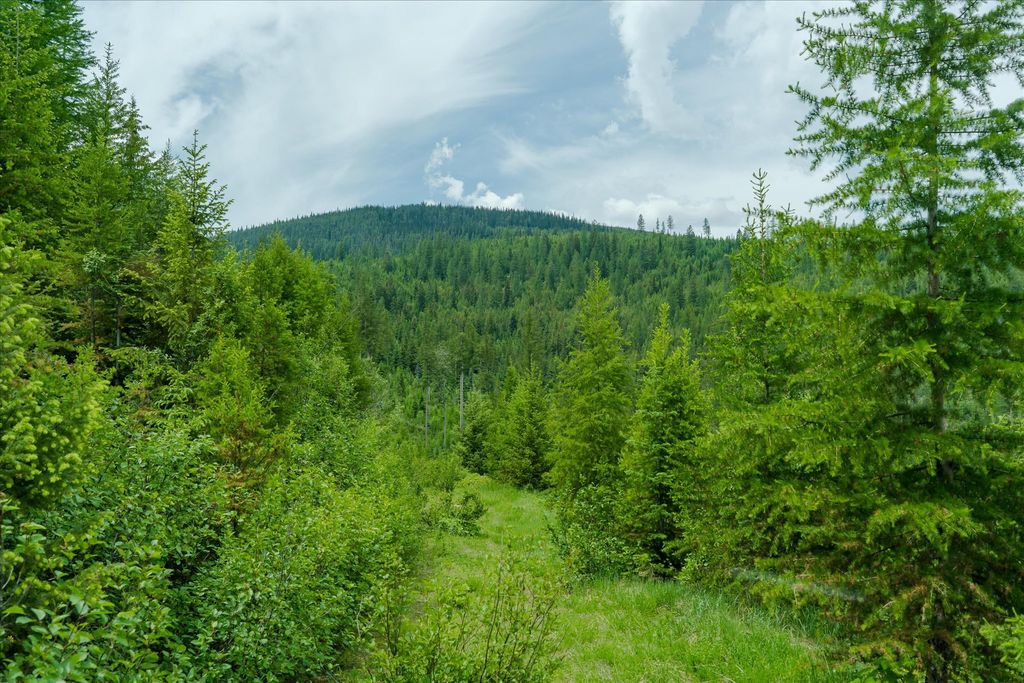 Nhn Fish Creek Road, Kalispell, MT 59901 photo 7