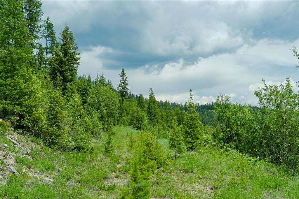 Nhn Fish Creek Road, Kalispell, MT 59901 photo 8