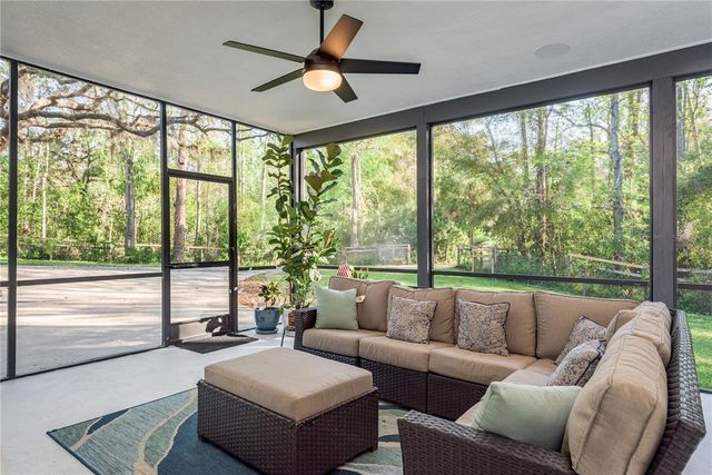 317 OLD EAST LAKE ROAD, Tarpon Springs, FL 34688