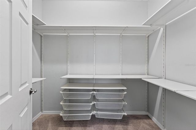 8108 MUDDY PINES PLACE, Tampa, FL 33635