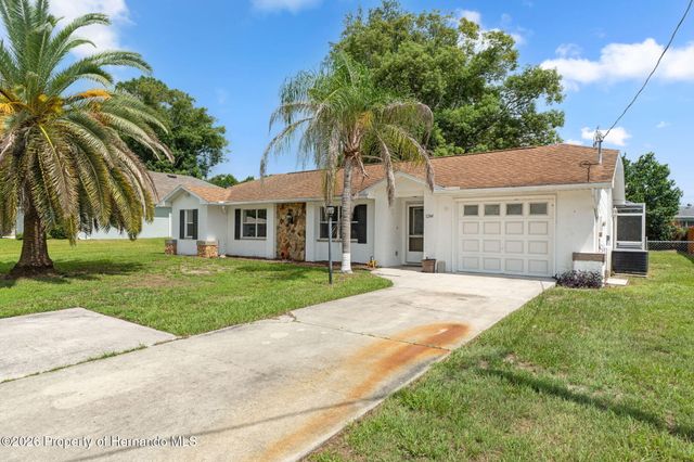 1244 Persian Avenue, Spring Hill, FL 34608