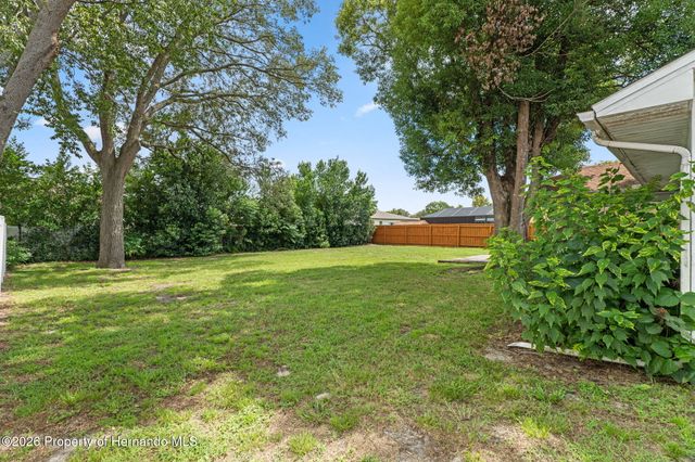 1244 Persian Avenue, Spring Hill, FL 34608
