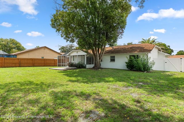 1244 Persian Avenue, Spring Hill, FL 34608