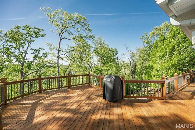 16925 Lewis Spring Farms Road, St Louis, MO 63005