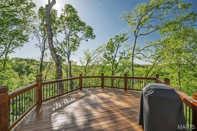 16925 Lewis Spring Farms Road, St Louis, MO 63005