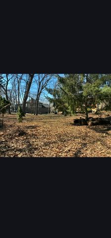 10021 W 146th Street, Orland Park, IL 60462