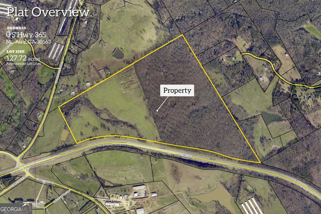 127 ACRES HWY 3 Sthighway 365, Mount Airy, GA 30563 — photo 2