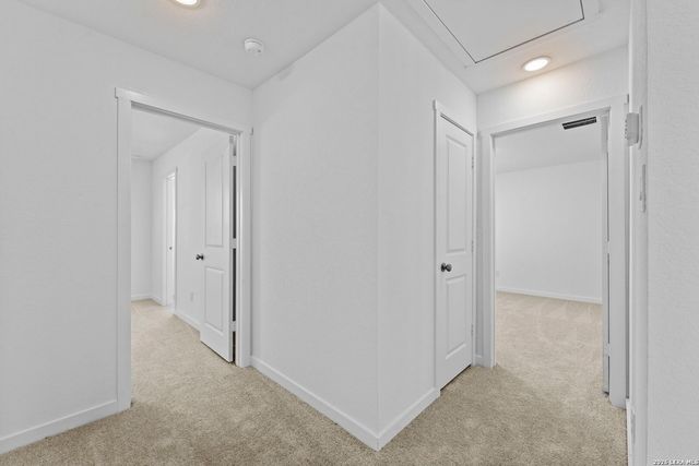 439 Kayden Ct, Marion, TX 78109