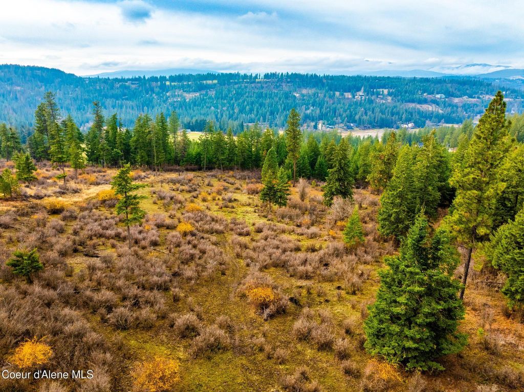 NKA Lisa Road (35 Acres), Harrison, ID 83833 photo 3