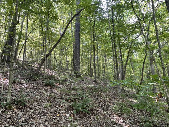 740 Hogans Branch Rd, Hendersonville, TN 37075