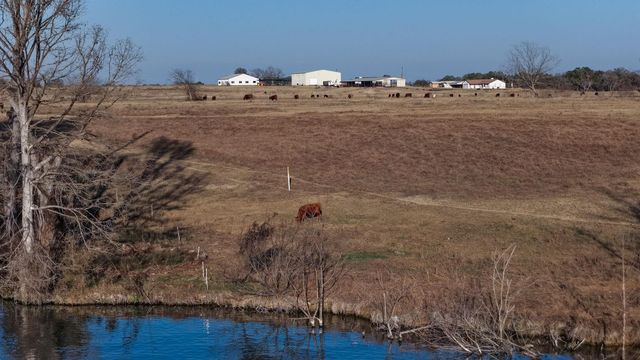 2229 Waterford Grace, New Braunfels, TX 78130