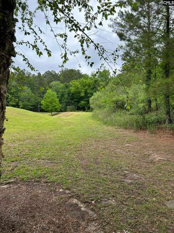 832 Chablis Drive, Columbia, SC 29210