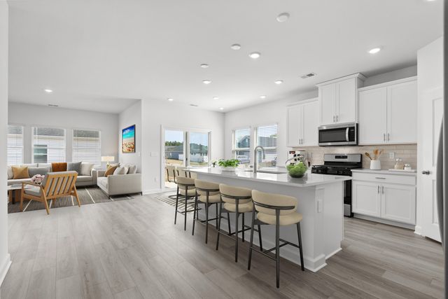 443 Radiant Blue Way, Summerville, SC 29486