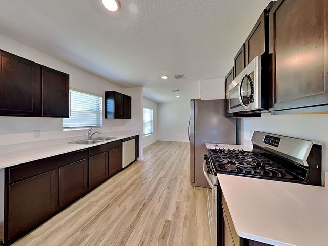 24102 Sonoran Hieghts Court, Hockley, TX 77447