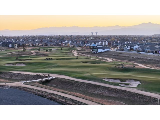 1746 Abundance Dr, Windsor, CO 80550