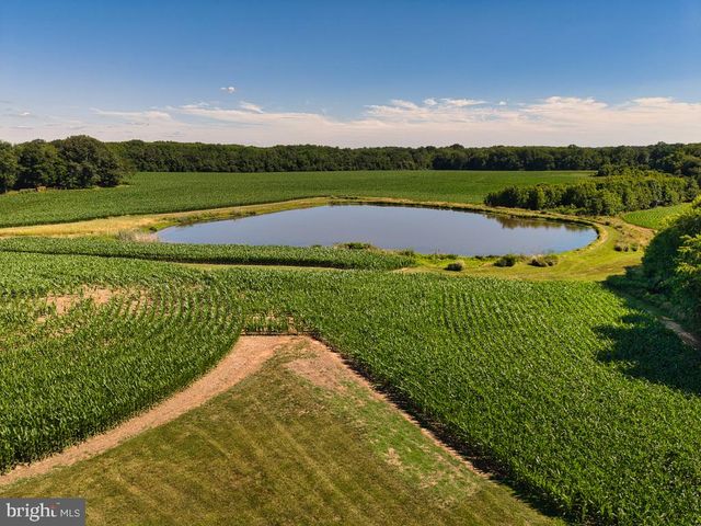 11500 POSSUM HOLLOW RD, Worton, MD 21678