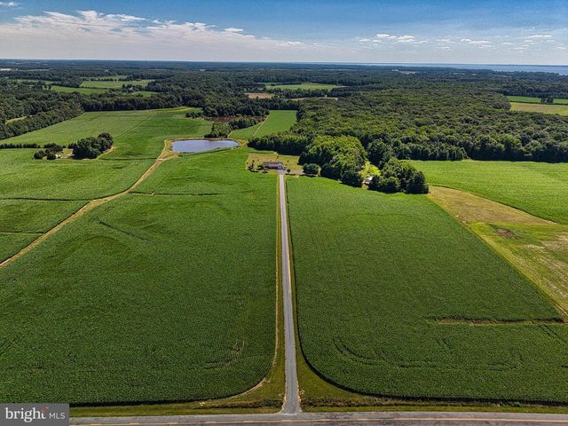11500 POSSUM HOLLOW RD, Worton, MD 21678
