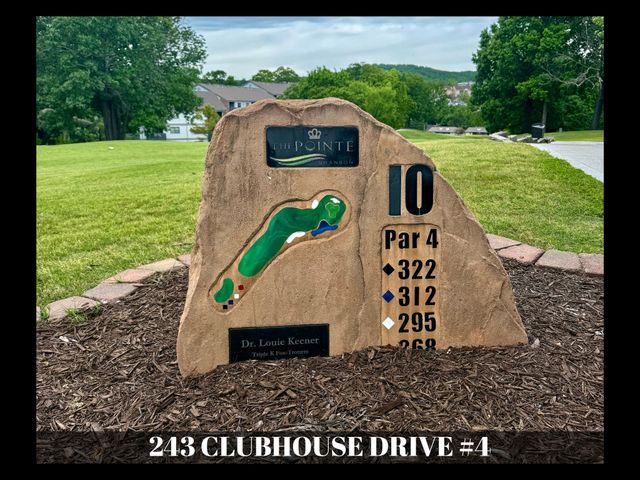 243 Clubhouse Drive 4, Branson, MO 65616