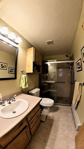 498 SE Birdie Circle, Cedaredge, CO 81413