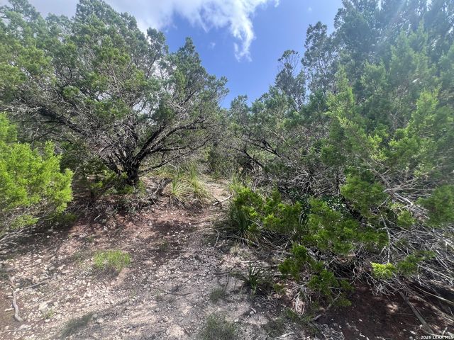 268 SCENIC HILLS DR, Canyon Lake, TX 78133