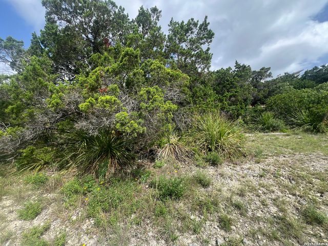268 SCENIC HILLS DR, Canyon Lake, TX 78133