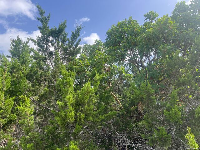 268 SCENIC HILLS DR, Canyon Lake, TX 78133