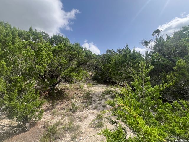 268 SCENIC HILLS DR, Canyon Lake, TX 78133