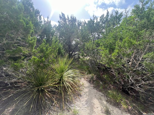 268 SCENIC HILLS DR, Canyon Lake, TX 78133