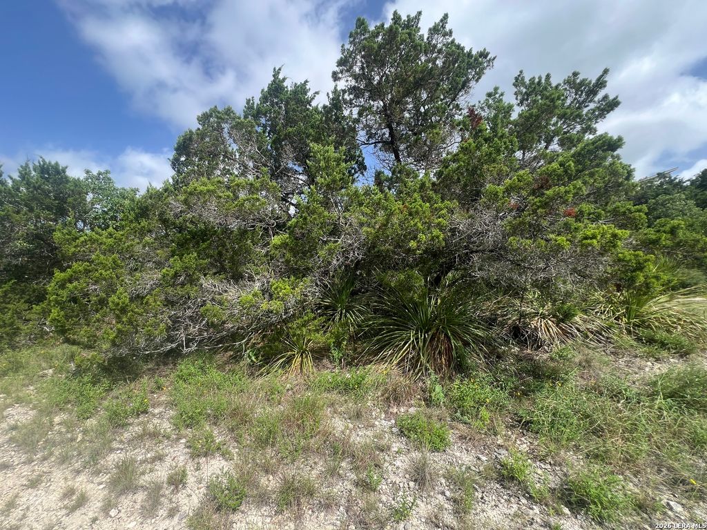268 SCENIC HILLS DR, Canyon Lake, TX 78133