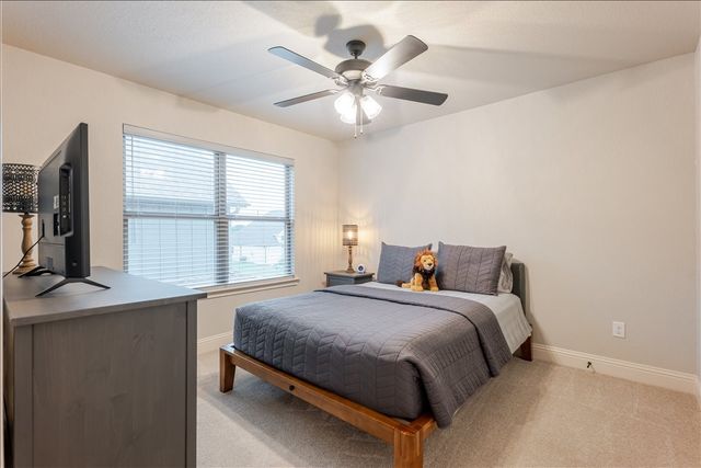 1317 THISTLE HILL Trail, Weatherford, TX 76087