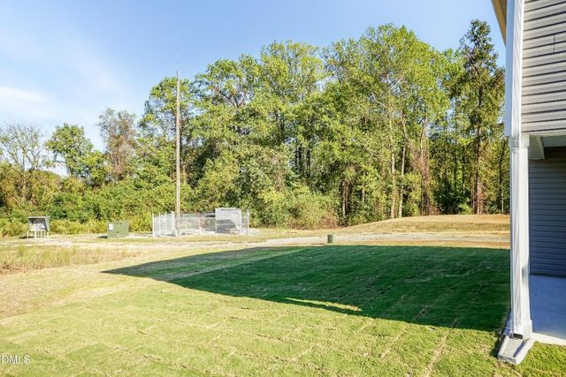 315 New Twin Branch Court, Smithfield, NC 27577