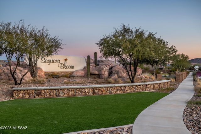 10305 N Arroyo Lupine Way, Marana, AZ 85653